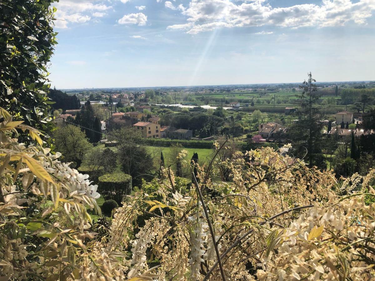 Villa Alta - Residenza D'Epoca Con Piscina サン・ジュリアーノ・テルメ エクステリア 写真